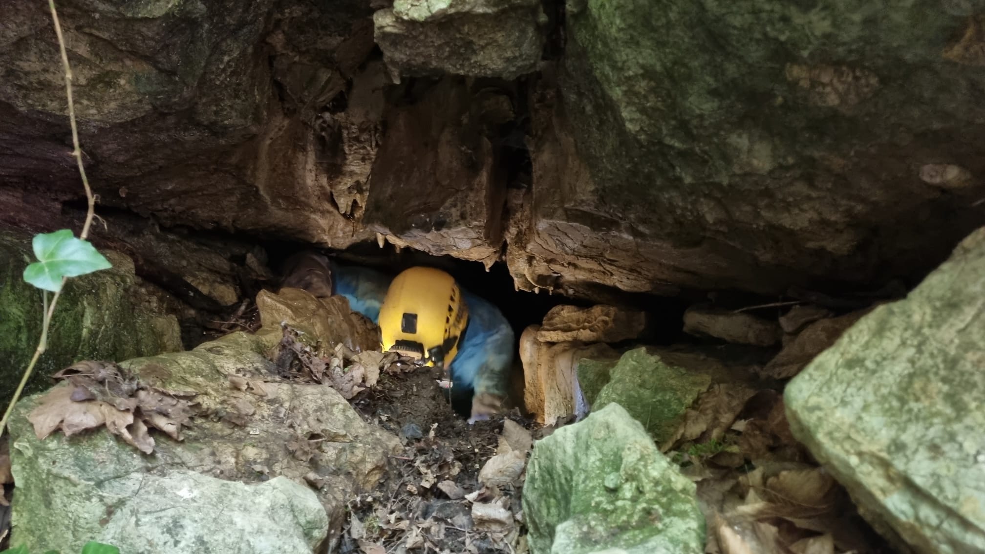 Peștera Raicovacea - Image 2